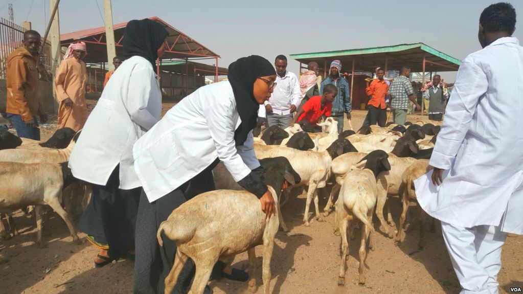 somaliland